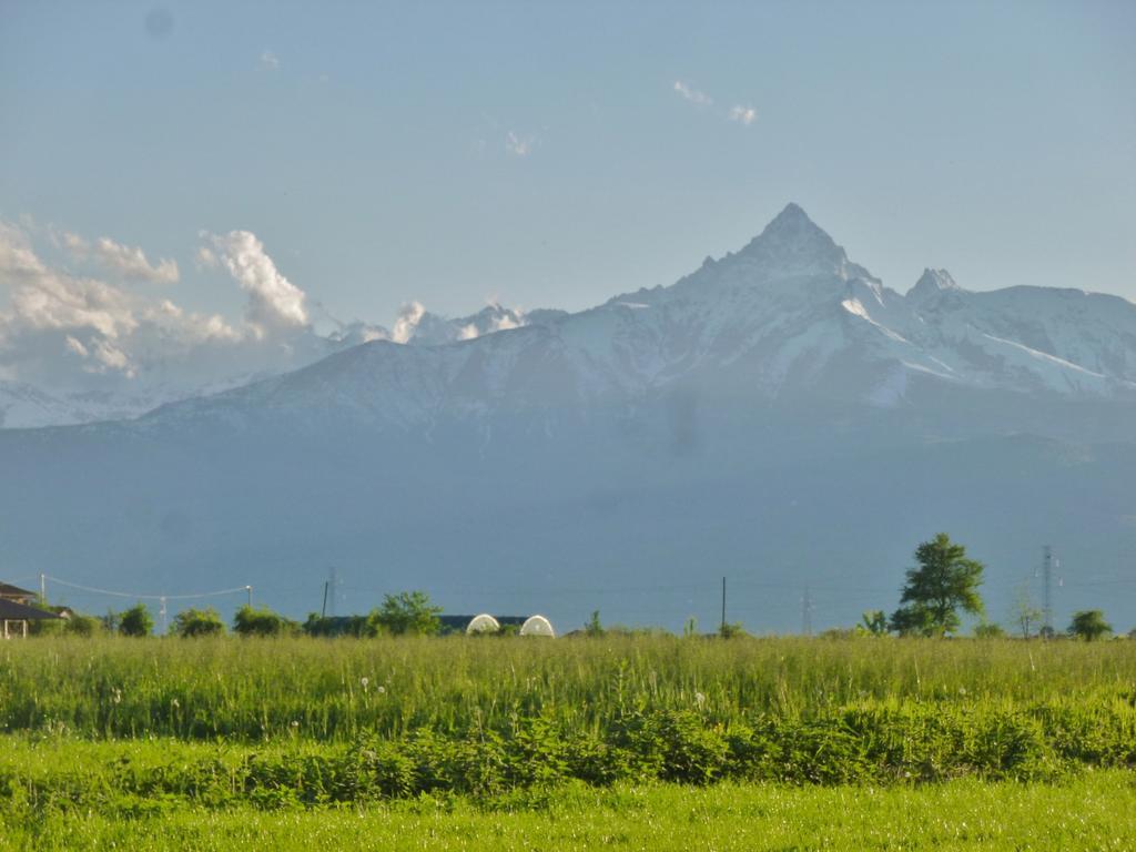 Tenuta Ajrale Vigone Εξωτερικό φωτογραφία