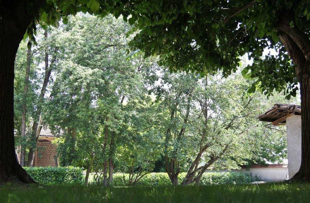Tenuta Ajrale Vigone Εξωτερικό φωτογραφία